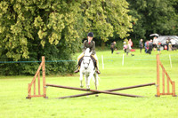RIDING CLUB HORSE