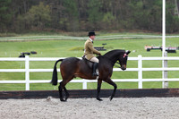 Ring 1 afternoon & championships