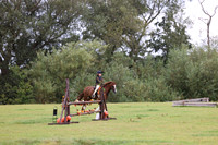 WORKING HUNTER