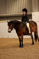 JUNIOR EQUITATION / YOUNG HANDLER
