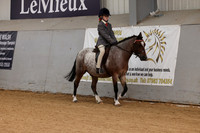 Riding club horse
