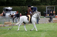 Rings 1 & 2 10am to 11am