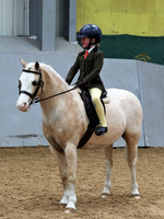 1st March hairy Pony