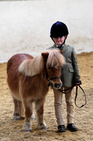 Junior equitation, Novelties, Young handler