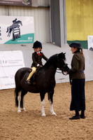 lead rein