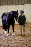 In Hand & young handler