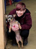 Sharon Dog Picture