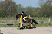 Working Hunter/Show jumping
