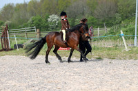 Junior young handler & lead rein