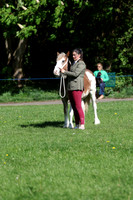 YOUNG HANDLER