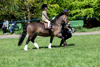 JUNIOR EQUITATION