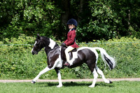 Riding club Horse/Pony