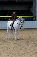 Ridden & junior equitation