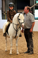 Lead Rein