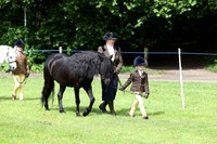 Young handler junior equitation first ridden