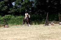 Working Hunter