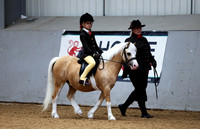 Lead Rein