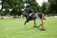 Riding club Horse