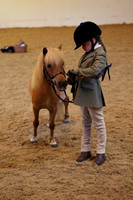 Junior Equitation