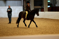 Riding Club Horse