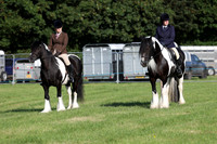 all ridden and ring 2 championship