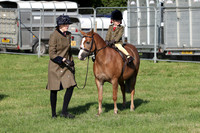 Lead Rein