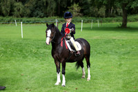 Dressage