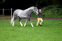 Young handler