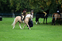 lead rein
