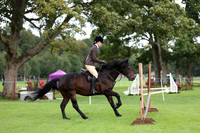 Riding Club Horse