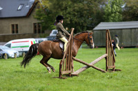 Ring 2 Riding club horse 2.10pm 21-Aug-16
