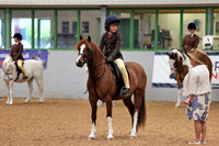 Riding club horse