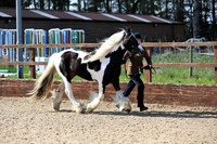 Ring 1 class 10-11 overall in hand champ