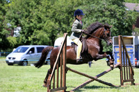 Riding club horse