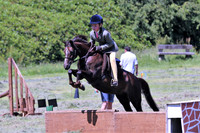 Working hunter/clear round