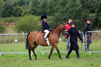 Lead rein & chids first ridden