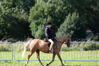 Ridden show ponys