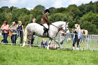 Ridden Cob