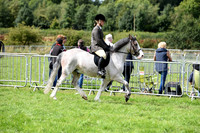 Ridden Registered Part breds 1