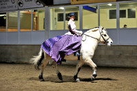 Open Concours d’Elégance