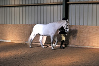 Equitation small ring 12.30-1.30pm