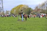 Riding club horse