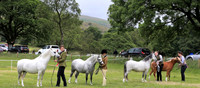 Ring one Woking hunter/hunter noon 2pm