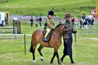Lead Rein