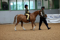 Lead rein
