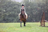 Riding club horse/pony