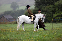 Lead rein