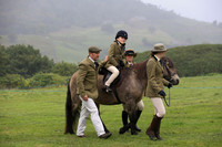Lead rein