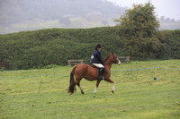 All ridden Equitation