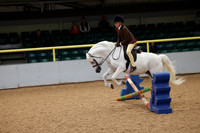 Riding club horse